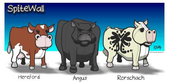 breeds of cows