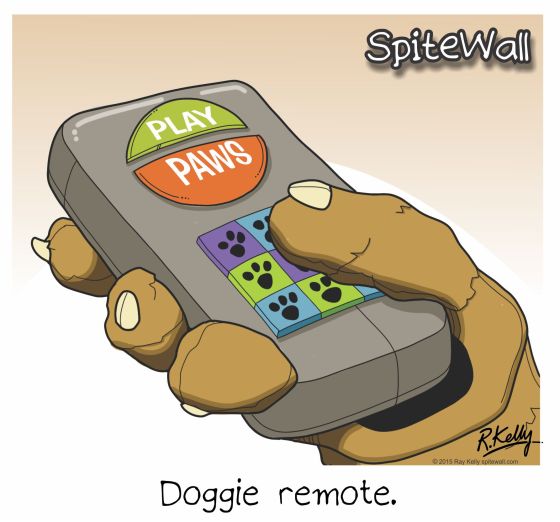 remote