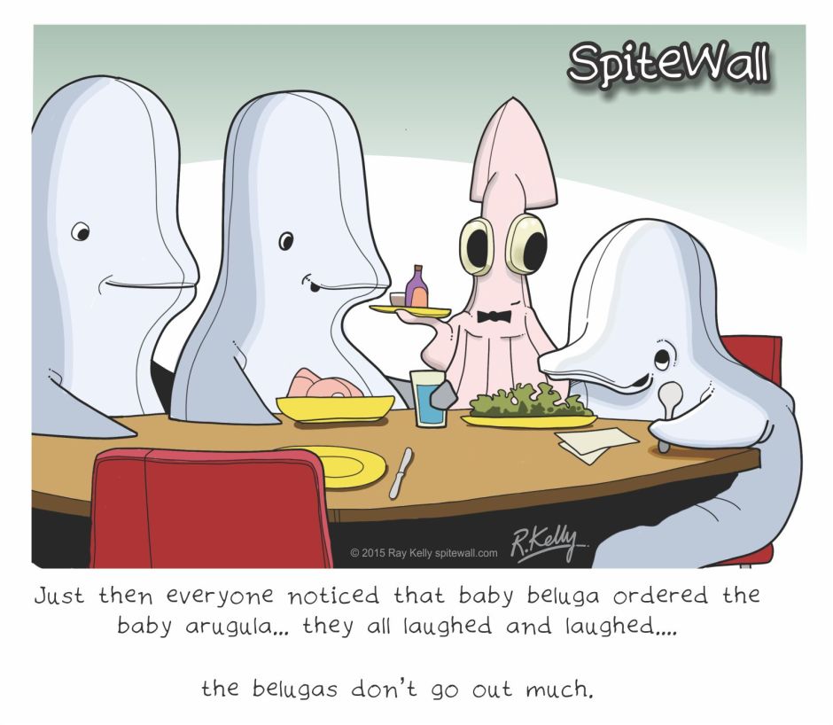 beluga